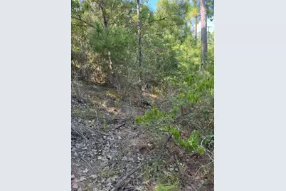Lot 1355 N Kaupo Drive, Bastrop, TX 78602 - Photo 6