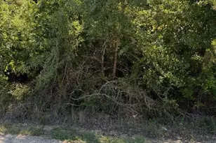 Lot 1355 N Kaupo Dr, Bastrop, TX 78602 - Photo 1