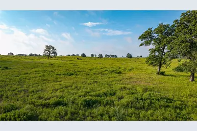 000 Hofferek Road, Rosanky, TX 78953 - Photo 4