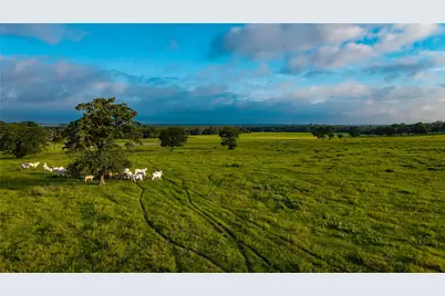 000 Hofferek Road, Rosanky, TX 78953 - Photo 2