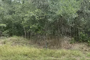 107 Halawa Ct, Bastrop, TX 78602 - Photo 1