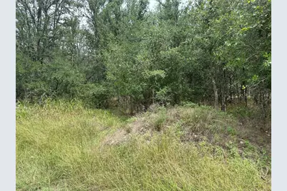 107 Halawa Court, Bastrop, TX 78602 - Photo 4