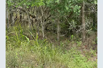 107 Halawa Court, Bastrop, TX 78602 - Photo 6