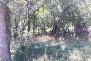 24418 Cottonwood Dr, Leander, TX 78641 - Photo 4