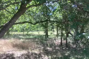 24418 Cottonwood Dr, Leander, TX 78641 - Photo 1