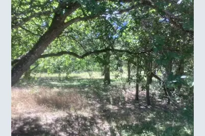 24418 Cottonwood Drive, Leander, TX 78641 - Photo 4