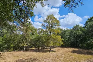 1301 Co Rd 262, Georgetown, TX 78633 - Photo 36