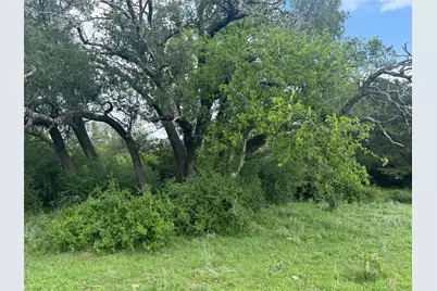 Lot 40 Maverick Way, Briggs, TX 78608 - Photo 10