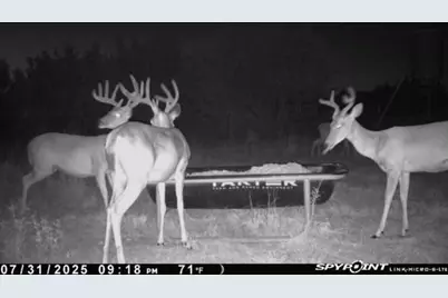 542 Co Rd 2275 Road, Lampasas, TX 76550 - Photo 4