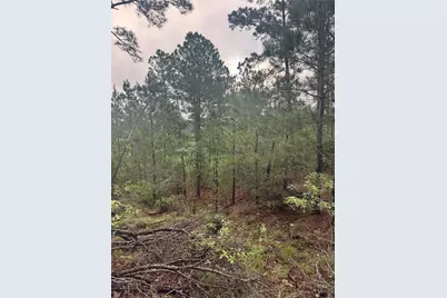 Lots 1490, 1491, 1492 Haleakala, Bastrop, TX 78602 - Photo 8