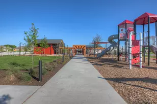 470 Carolina Buckthorn Dr, Kyle, TX 78640 - Photo 34