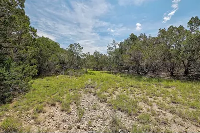 Tbd Windy Hills Road, Dripping Springs, TX 78620 - Photo 6
