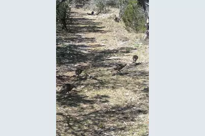 00 Park Road, Lampasas, TX 76550 - Photo 8