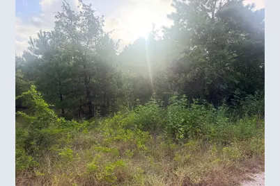119 S Buckhorn Drive, Bastrop, TX 78602 - Photo 4