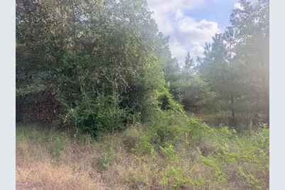 119 S Buckhorn Drive, Bastrop, TX 78602 - Photo 8