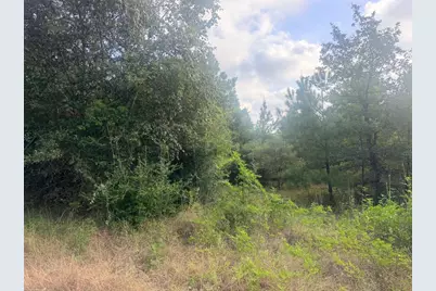 119 S Buckhorn Drive, Bastrop, TX 78602 - Photo 2