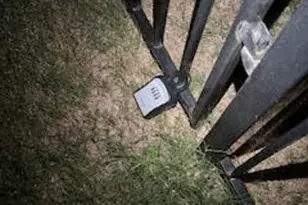 441 Bristlecone Bend, Liberty Hill, TX 78642 - Photo 24