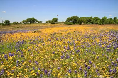 920 Crosswind Drive, Blanco, TX 78606 - Photo 16