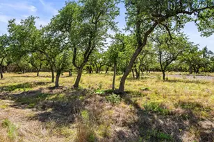 300 Stonegate Ln, Dripping Springs, TX 78620 - Photo 1