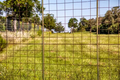 3336 County Road 326, Lexington, TX 78947 - Photo 40