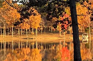 537 Co Rd 1596, Hughes Springs, TX 75630 - Photo 38