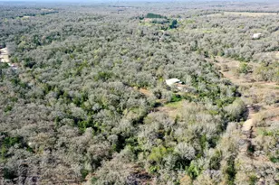 6615 Co Rd 308, Caldwell, TX 77836 - Photo 12