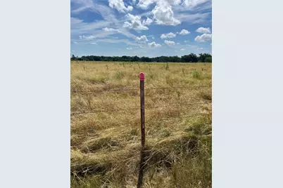 Tbd Cr 200/ Shady Grove Road, Bertram, TX 78605 - Photo 12