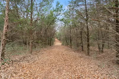 Tbd County Road  330, Milano, TX 76556 - Photo 4