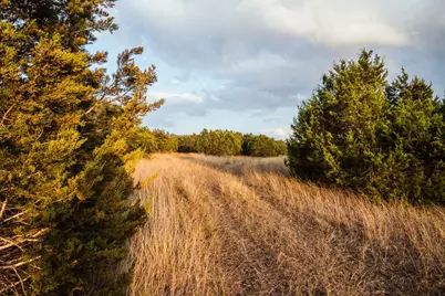 17650-A Hamilton Pool Road, Austin, TX 78738 - Photo 8