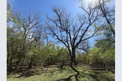 1285 Burdette Wells Road, Lockhart, TX 78644 - Photo 10