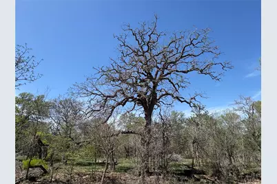 1285 Burdette Wells Road, Lockhart, TX 78644 - Photo 4
