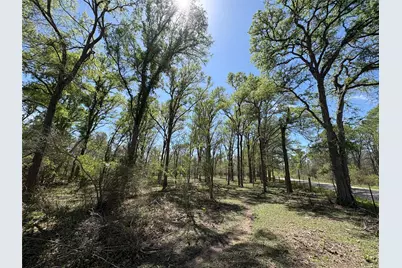 1285 Burdette Wells Road, Lockhart, TX 78644 - Photo 8