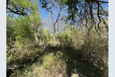 1285 Burdette Wells Road, Lockhart, TX 78644 - Photo 16