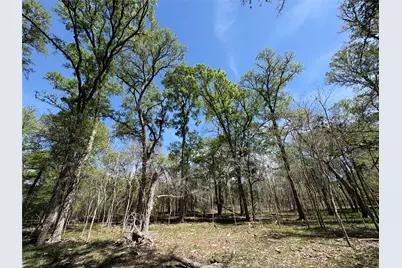 1285 Burdette Wells Road, Lockhart, TX 78644 - Photo 20