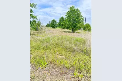 136 Wild Bird Loop, Smithville, TX 78957 - Photo 6