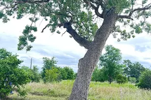 136 Wild Bird Loop, Smithville, TX 78957 - Photo 1