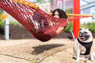 7005 Woodford Wy, Austin, TX 78744 - Photo 10