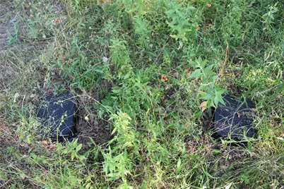 1130 Fm-970, Florence, TX 76527 - Photo 22