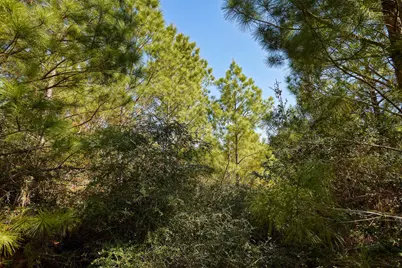 129 Country Air Drive, Bastrop, TX 78602 - Photo 40