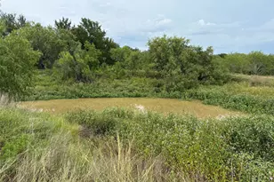 1145 Callihan Rd, Luling, TX 78648 - Photo 8