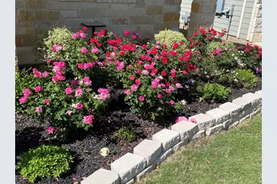 123 Wichita River Road, Hutto, TX 78634 - Photo 34