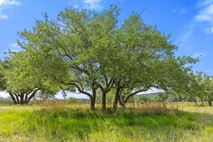 8091 Miller Creek Loop, Johnson City, TX 78636 - Photo 32