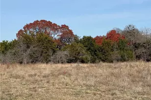 306 Cobalt Cove, Georgetown, TX 78633 - Photo 32