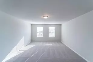 457 Blue Hibiscus Dr, Liberty Hill, TX 78642 - Photo 8