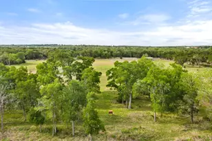 2560 Bell Springs Rd, Dripping Springs, TX 78620 - Photo 8