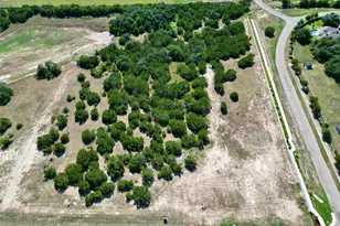 2381 Council Springs Pass, Leander, TX 78641 - Photo 12