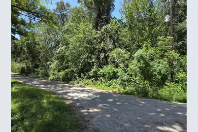 Tbd Nancy  / Davis Street, Bastrop, TX 78602 - Photo 4