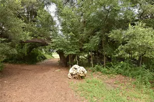241 Serpens St, Georgetown, TX 78628 - Photo 20