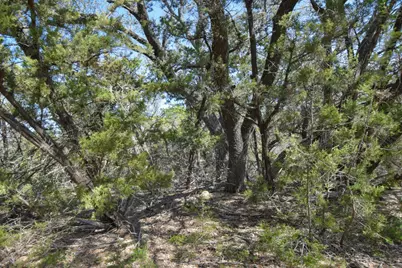 370-B Kothman Road, Dripping Springs, TX 78620 - Photo 8