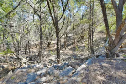 370-B Kothman Road, Dripping Springs, TX 78620 - Photo 16